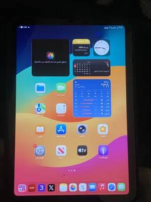 ايباد ميني 6