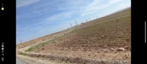 Residential Land for Sale in Amman Al-Muwaqqar