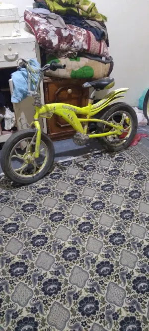سياكل كوبرا بعد الجديد