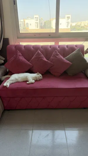 كنب مقعدين sofa 2 seater seats