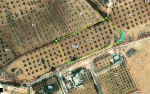 Farm Land for Sale in Tafila Al-Ayes