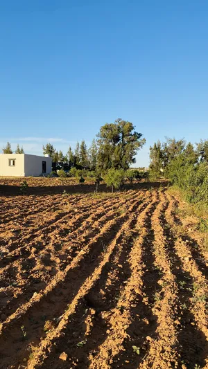 3 Bedrooms . One Bathroom . 110 m20