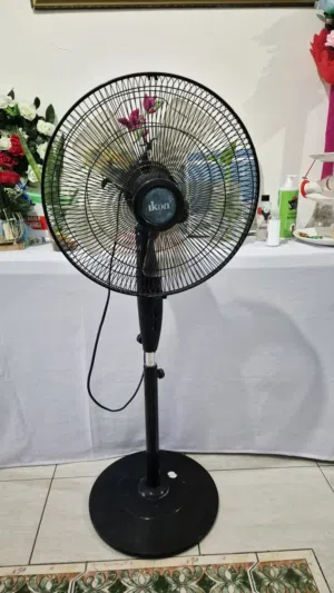Stamd fan electric fan