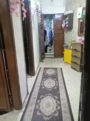 منزل طابقين وسطح منفصل. الطابق الأرضي يتكون من حوش مزروع ومعرش دوالي وداليه عنب كبيره. غرفتين نوم