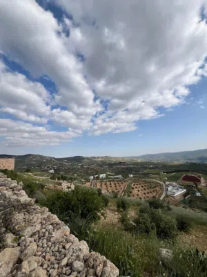 Mixed Use Land for Sale in Jerash Al-Rashaida