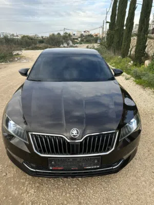 Used Skoda Superb in Tulkarm
