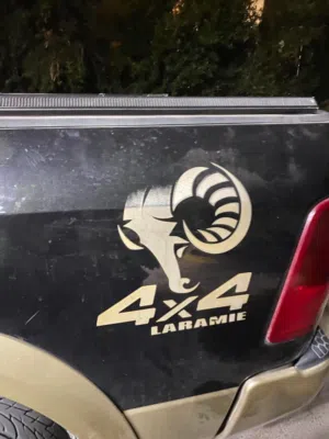 Used Dodge Other in Amman