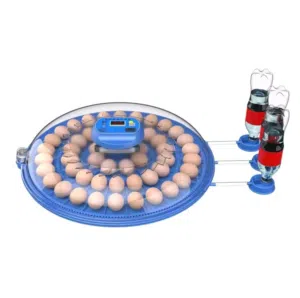 فقاسة عالية الجودة بي تصميم دائرة انيق مصمم لتوزيع الحرارة لكي تحصل على أفضل نتيجة الفقس ٪85