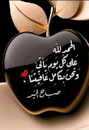 مطلوب روديتر