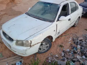 فيرنا 2010