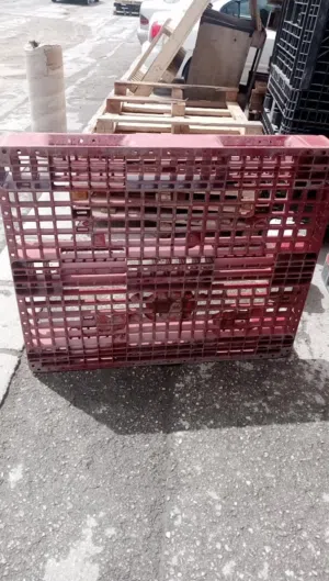 بيع وشراء  طباليً بلاستك وخشب يوجد لدينا طبالي بحال الوكاله يوجد جميع المقاسات والكميات