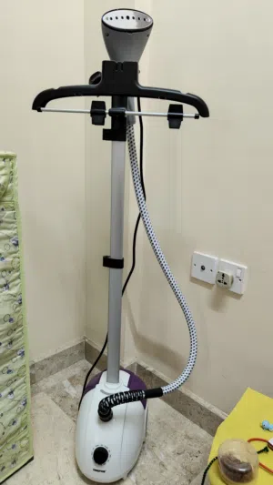 Iron electric