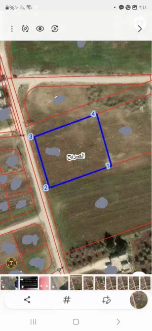 Farm Land for Sale in Irbid Al Sareeh