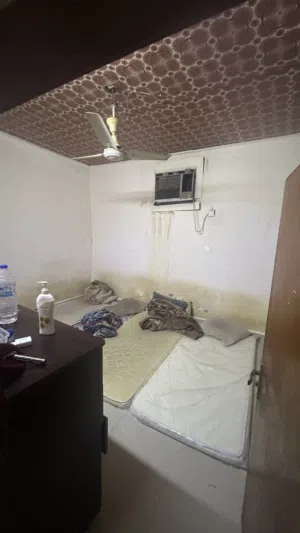 Apartment and rooms for rent