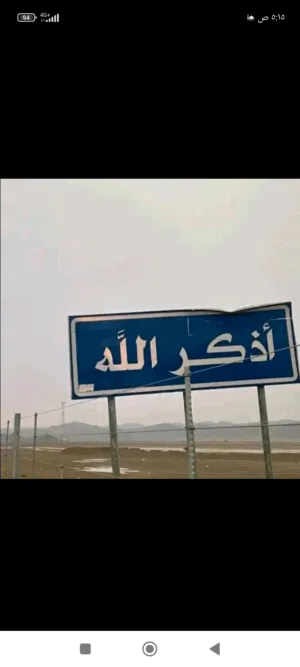ضوء عبد الفتاح 