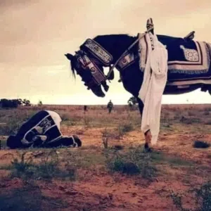 ولد الأجواء 