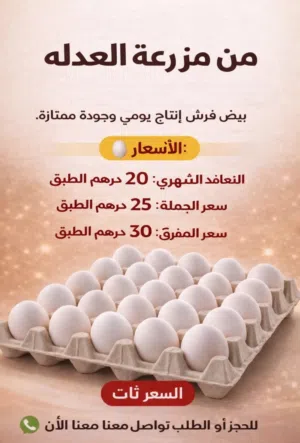 بيض مائدة طازج يومي