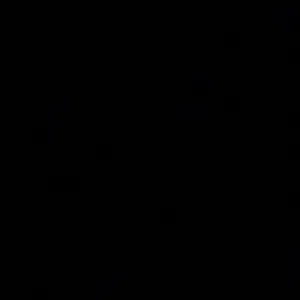 هشام البحيري