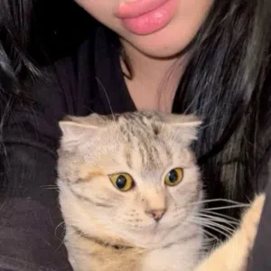 Lona 