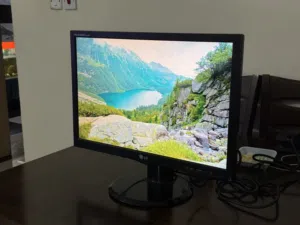 LG 22" Widescreen Monitor (Flatron L222WS)
