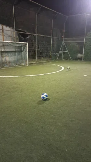 محمود علي 