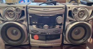 Pioneer sound system