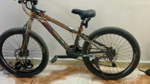 Mountain bike