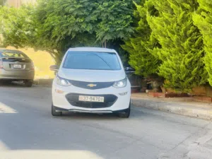 شفر بولت 2019 بحالك ممتازة تقطع 550 بشحنة الواحد