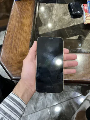 Apple iPhone 12 Pro Max 256 GB in Irbid