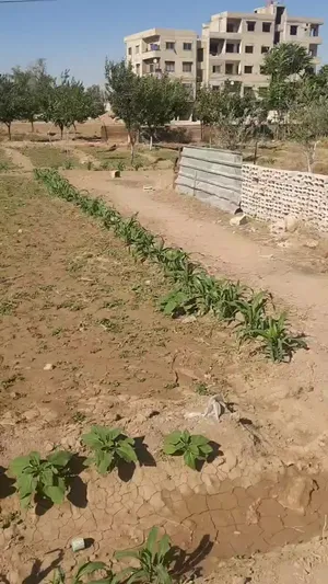 Residential . 750 m2 . Landlord0