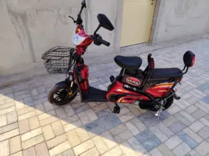 Electric Bike 35 speed 48V-48AH BATTERY 48V-12AH CHARGE (RED)