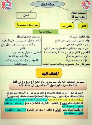 ُمُعلم لغة عربية ،وتربية إسلامية.