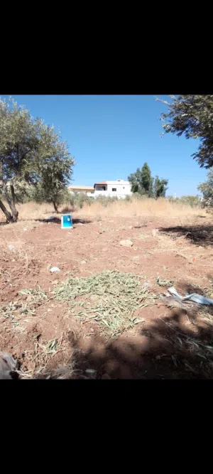 Residential Land for Sale in Salt Al Subeihi
