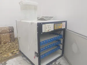 فقاسة 240 بيضه