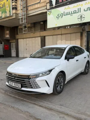 BYD ديستروير 2025  بي واي دي