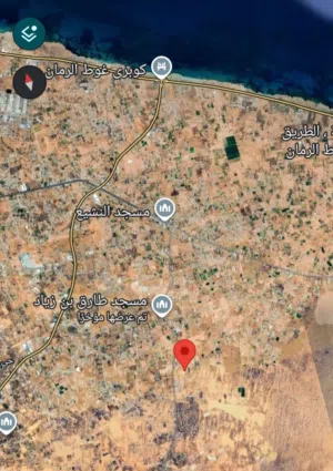 العنوان: تملك أرضك اليوم.. بسعر لا يتكرر!