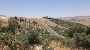 Residential Land for Sale in Salt Other