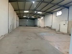 Yearly . 500 m20