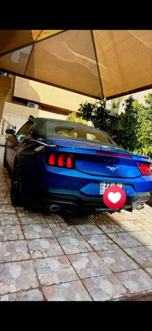 موستنك كشف 2024 فووووووول