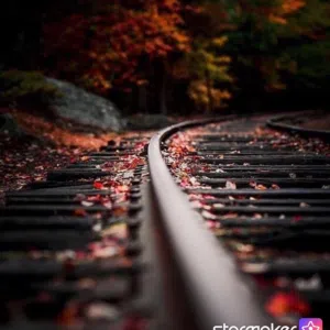 أبو منصور 