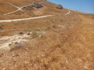Residential Land for Sale in Amman Shafa Badran