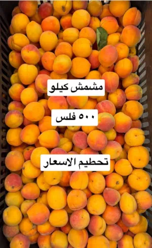 عروض لوجي يوم الخميس والجمعه 21/22/5/2026