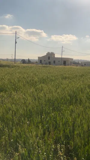 Residential Land for Sale in Amman Al-Baida