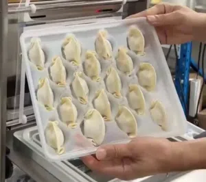 I am searching for a partner or investor for my profitable running mini food processing business.