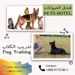 ‏ترويض وتدريب ‏.‏ تدريب كلاب‏4