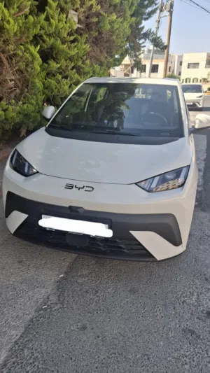 BYD DOLPHIN SURF 2026