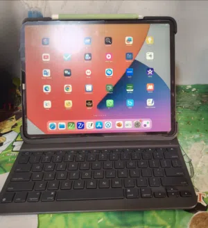 Ipad pro 12.9 inches