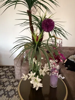 Indoor Flower
