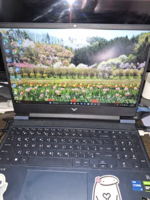 HP Victus 15