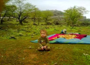najeb halasah 